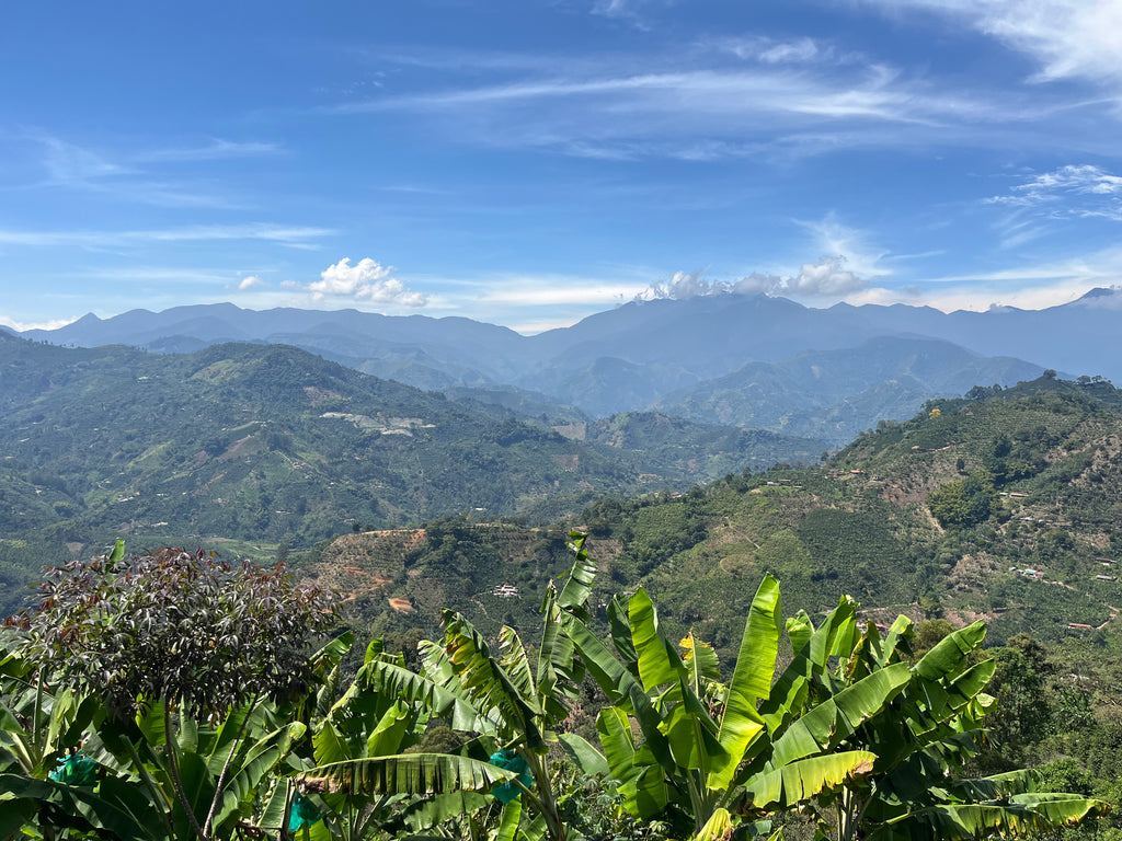 co.hilo Kaffee – Single Farm Kolumbianischer Kaffee