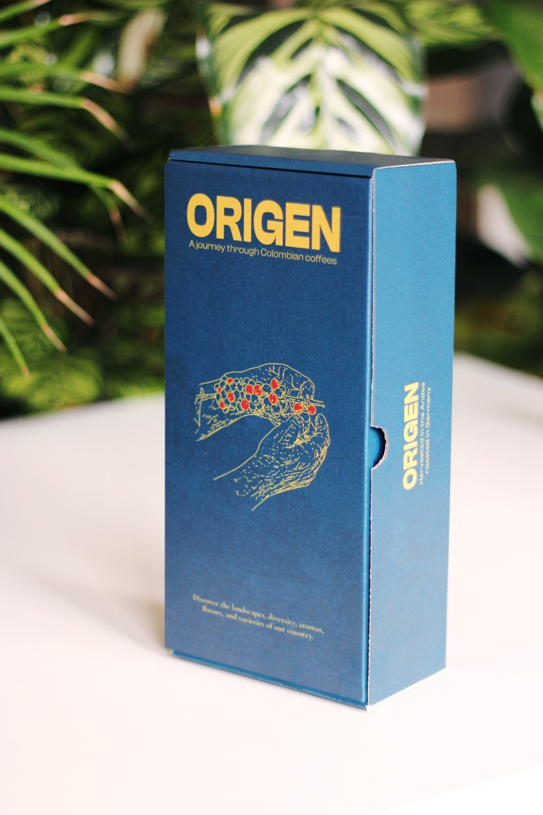 Origen - A Journey Through Colombian Coffee