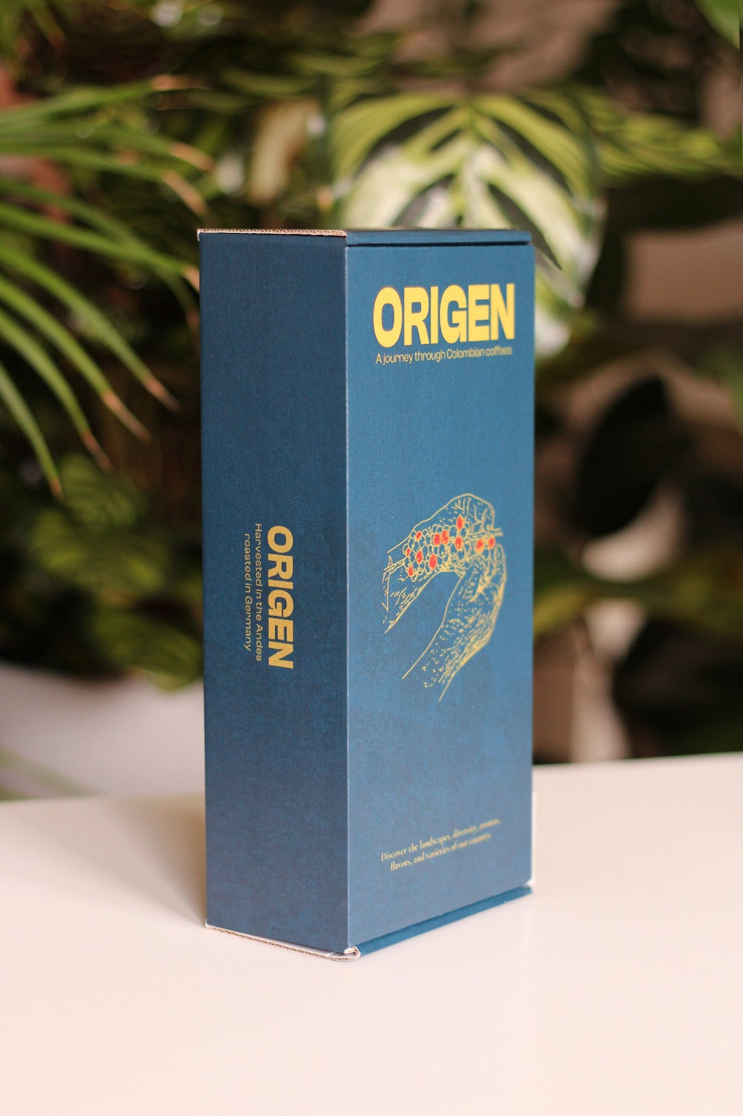 Origen - A Journey Through Colombian Coffee